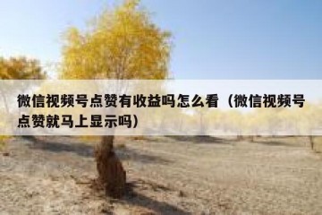 微信视频号点赞有收益吗怎么看（微信视频号点赞就马上显示吗）