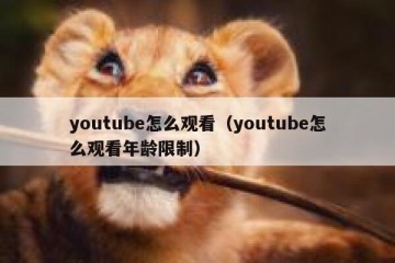 youtube怎么观看（youtube怎么观看年龄限制）