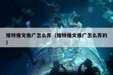 推特推文推广怎么弄（推特推文推广怎么弄的）