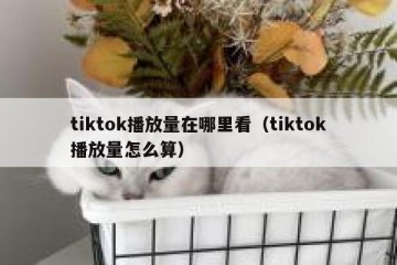 tiktok播放量在哪里看（tiktok播放量怎么算）