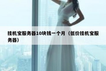 挂机宝服务器10块钱一个月（低价挂机宝服务器）