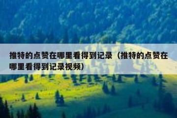 推特的点赞在哪里看得到记录（推特的点赞在哪里看得到记录视频）