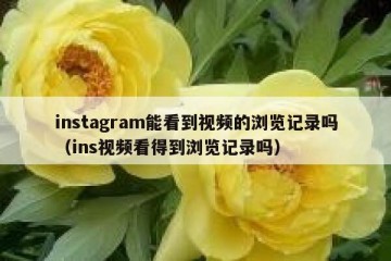 instagram能看到视频的浏览记录吗（ins视频看得到浏览记录吗）