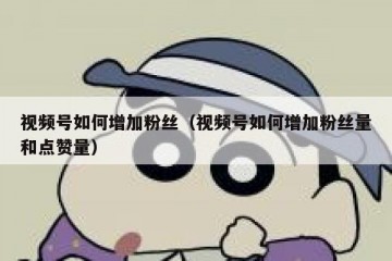 视频号如何增加粉丝（视频号如何增加粉丝量和点赞量）