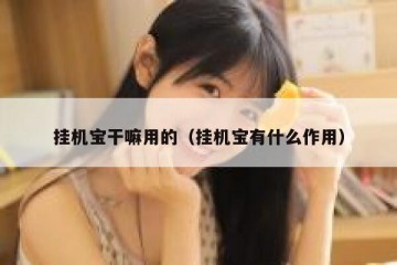 挂机宝干嘛用的（挂机宝有什么作用）