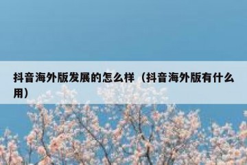 抖音海外版发展的怎么样（抖音海外版有什么用）