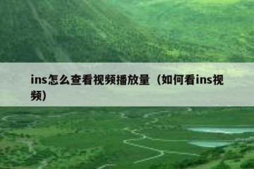 ins怎么查看视频播放量（如何看ins视频）