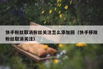 快手粉丝取消粉丝关注怎么添加回（快手移除粉丝取消关注）