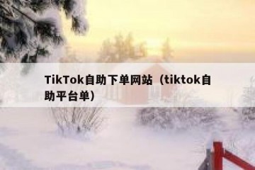 TikTok自助下单网站（tiktok自助平台单）