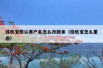 挂机宝默认用户名怎么改回来（挂机宝怎么重启）