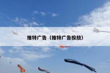 推特广告（推特广告投放）