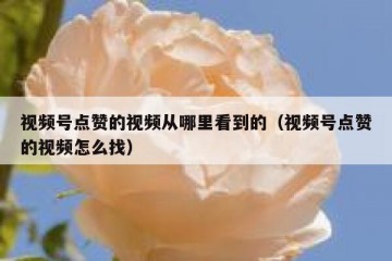 视频号点赞的视频从哪里看到的（视频号点赞的视频怎么找）