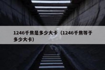 1246千焦是多少大卡（1246千焦等于多少大卡）