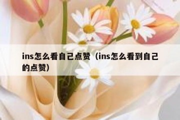 ins怎么看自己点赞（ins怎么看到自己的点赞）