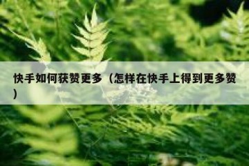 快手如何获赞更多（怎样在快手上得到更多赞）