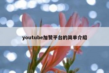youtube加赞平台的简单介绍