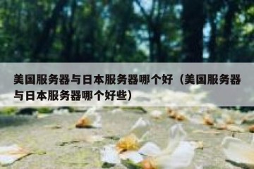 美国服务器与日本服务器哪个好（美国服务器与日本服务器哪个好些）