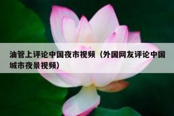油管上评论中国夜市视频（外国网友评论中国城市夜景视频）