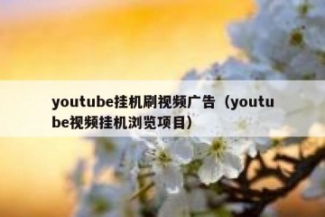 youtube挂机刷视频广告（youtube视频挂机浏览项目）