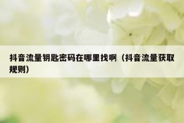 抖音流量钥匙密码在哪里找啊（抖音流量获取规则）
