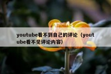 youtube看不到自己的评论（youtube看不见评论内容）