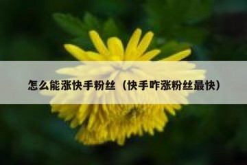 怎么能涨快手粉丝（快手咋涨粉丝最快）