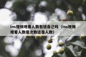 ins视频观看人数包括自己吗（ins视频观看人数是次数还是人数）