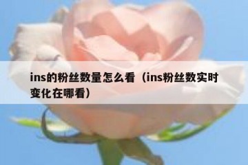 ins的粉丝数量怎么看（ins粉丝数实时变化在哪看）