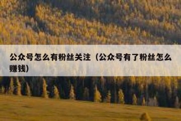 公众号怎么有粉丝关注（公众号有了粉丝怎么赚钱）