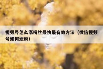 视频号怎么涨粉丝最快最有效方法（微信视频号如何涨粉）
