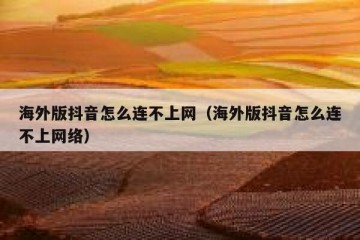 海外版抖音怎么连不上网（海外版抖音怎么连不上网络）