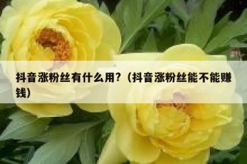 抖音涨粉丝有什么用?（抖音涨粉丝能不能赚钱）