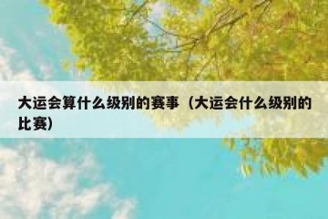大运会算什么级别的赛事（大运会什么级别的比赛）