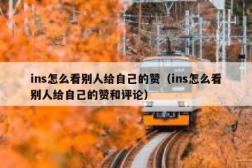 ins怎么看别人给自己的赞（ins怎么看别人给自己的赞和评论）