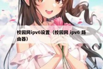 校园网ipv6设置（校园网 ipv6 路由器）