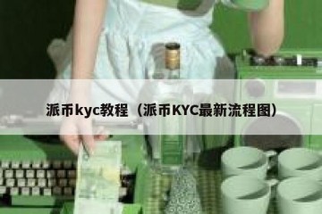 派币kyc教程（派币KYC最新流程图）
