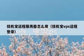 挂机宝远程服务器怎么用（挂机宝vps远程登录）