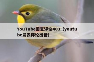 YouTube回复评论403（youtube发表评论出错）