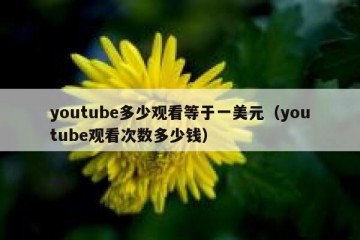 youtube多少观看等于一美元（youtube观看次数多少钱）