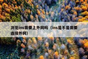 浏览ins需要上外网吗（ins是不是需要连接外网）