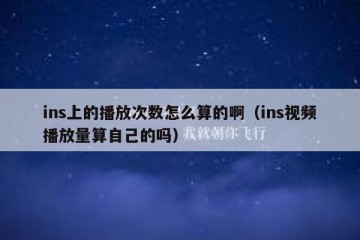 ins上的播放次数怎么算的啊（ins视频播放量算自己的吗）
