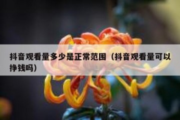 抖音观看量多少是正常范围（抖音观看量可以挣钱吗）