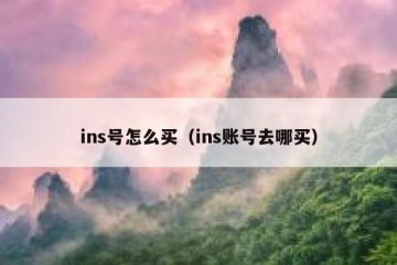 ins号怎么买（ins账号去哪买）