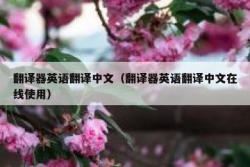 翻译器英语翻译中文（翻译器英语翻译中文在线使用）