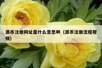 派币注册网址是什么意思啊（派币注册流程视频）
