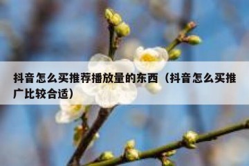 抖音怎么买推荐播放量的东西（抖音怎么买推广比较合适）