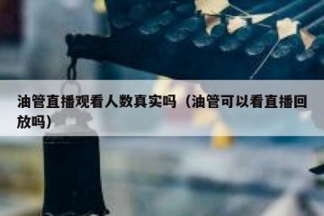 油管直播观看人数真实吗（油管可以看直播回放吗）