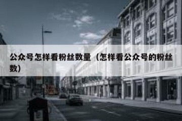 公众号怎样看粉丝数量（怎样看公众号的粉丝数）