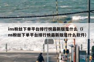 ins粉丝下单平台排行榜最新版是什么（ins粉丝下单平台排行榜最新版是什么软件）