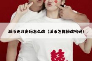 派币更改密码怎么改（派币怎样修改密码）